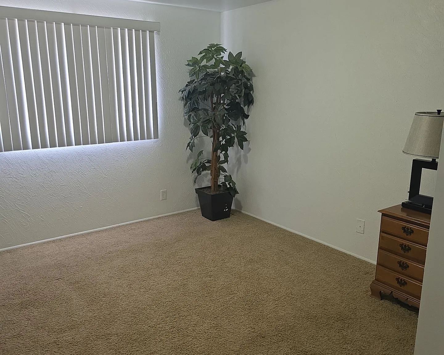 1003 South State Fair Boulevard - 18 — Photo 2