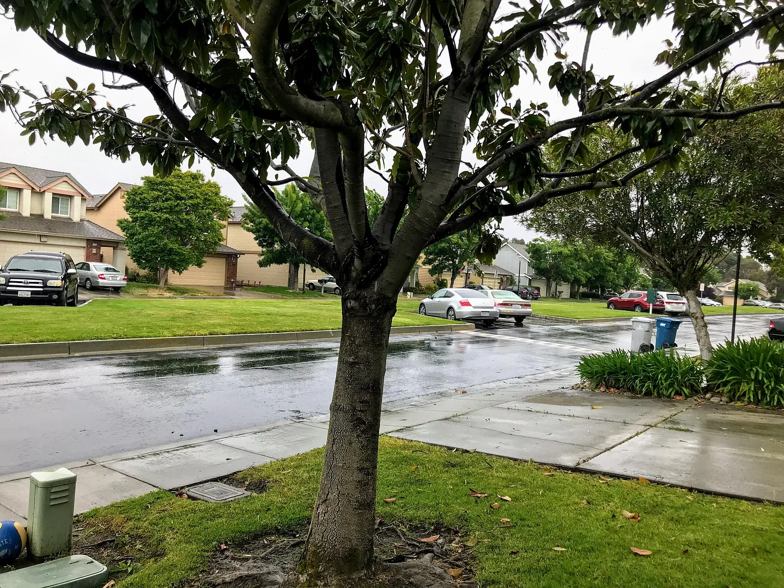34505 Melissa Ter — Photo 4