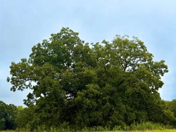 TRACT Fm 513 #D, Tx Pt, TX 75453