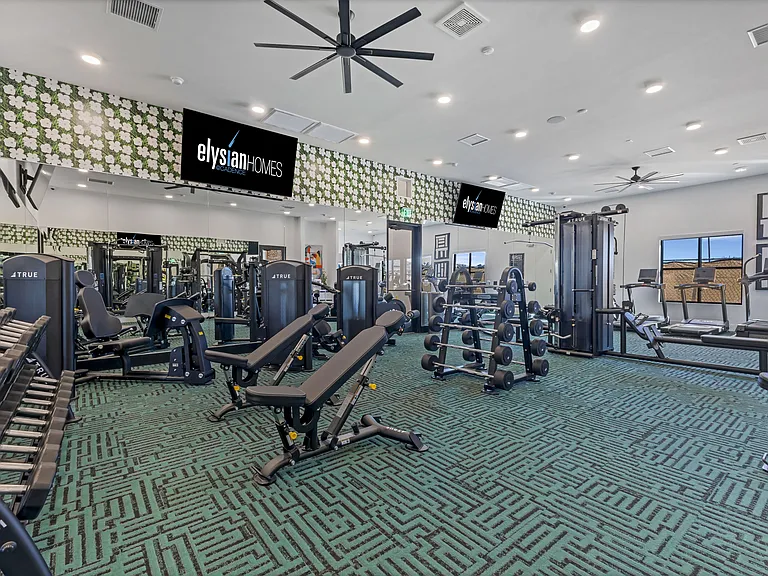 Elysian Homes at Cadence — Photo 19