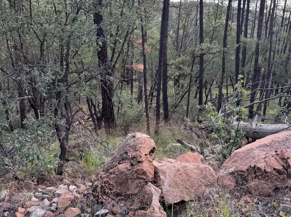 12 Electrum Cir, Timberon, NM 88350