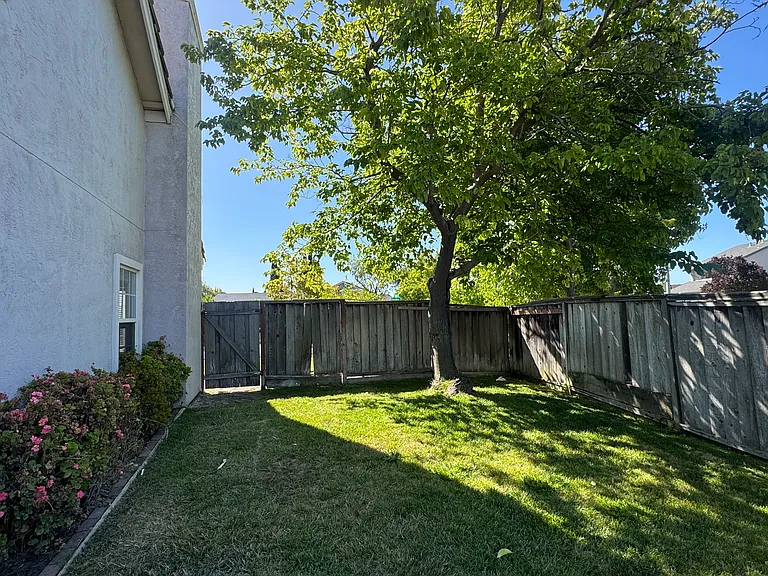 4195 Horatio Way — Photo 25