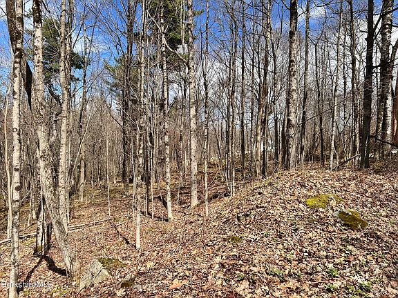 3rd image of 0 Goose Pond Rd Lot 4