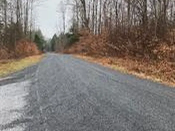 Big Woods Road, Harris, NY 12472