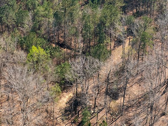 4th image of 0 Lower Big Springs Rd