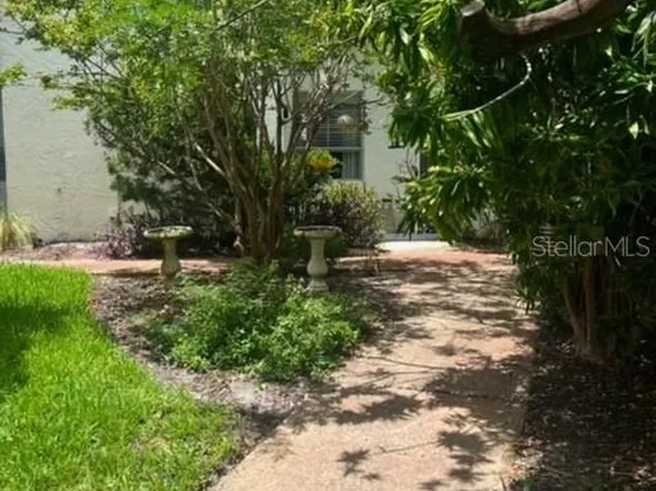 4229 La Sorrento Ct, Tampa, FL 33611