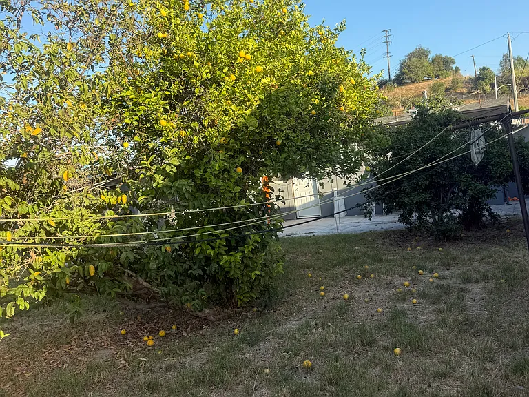 17977 Wellford Dr — Photo 29
