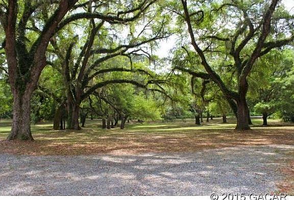 Lovely century old oak trees