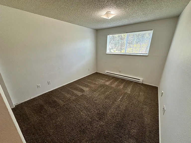 3919 Mason Loop Rd #C — Photo 26