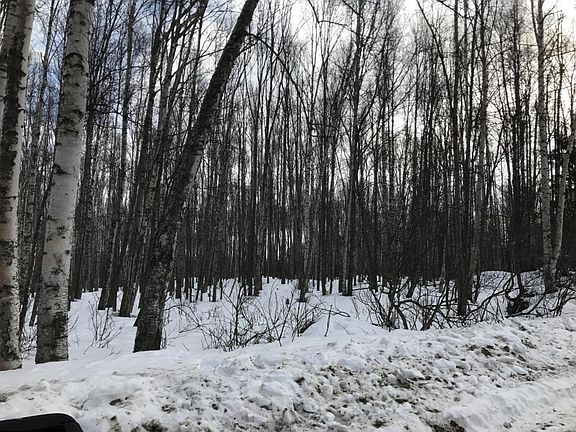 3rd image of 3551 N White Knight Dr