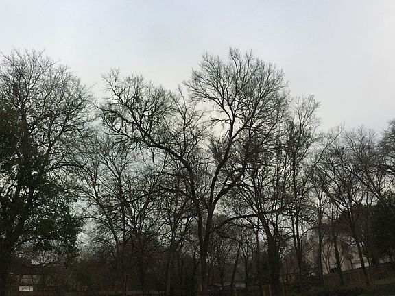 5th image of 9303 Castlewood Dr