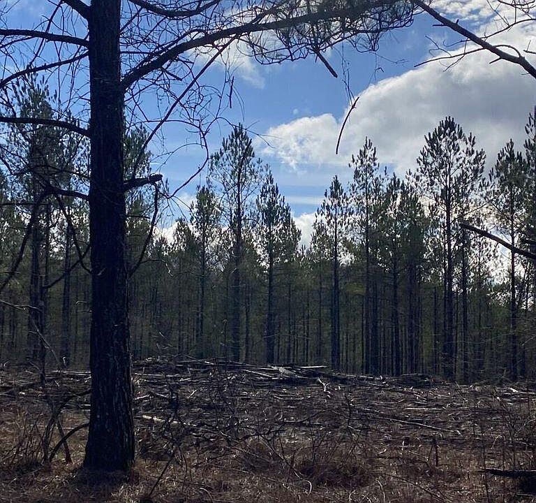 1st image of 5 Thomas Springs Rd Lot 5