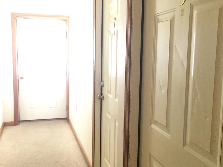 203 Palm St — Photo 11
