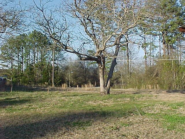 1st image of 5 Buck Creek Dr