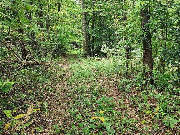 3rd image of Perry Smith Ln
