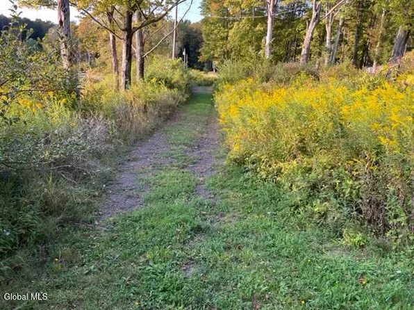 L9.70 Olmo Lane, Rensselaerville, NY 12147