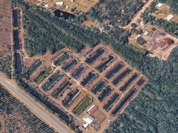2804 Highway 110 E, Waynesville, GA 31566