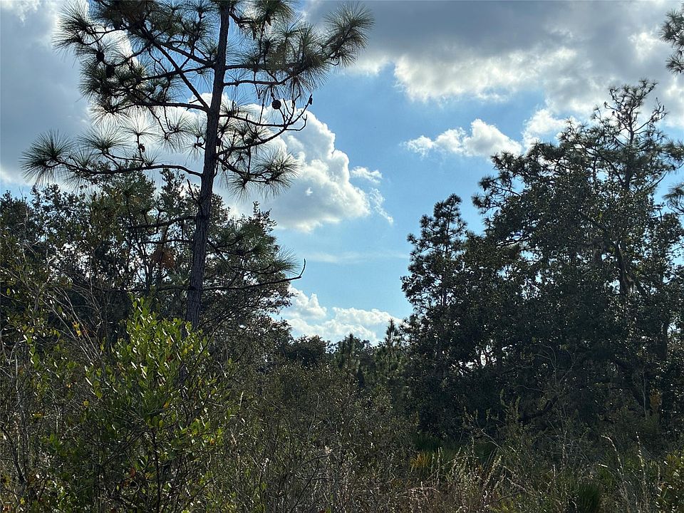 2nd image of Lot 21 & 22 Plumosa Drive