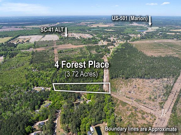 2nd image of 0 Forest Pl.