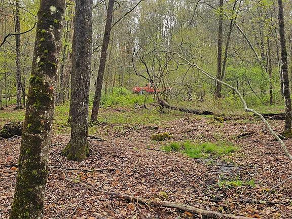 3rd image of 210 Como Rd