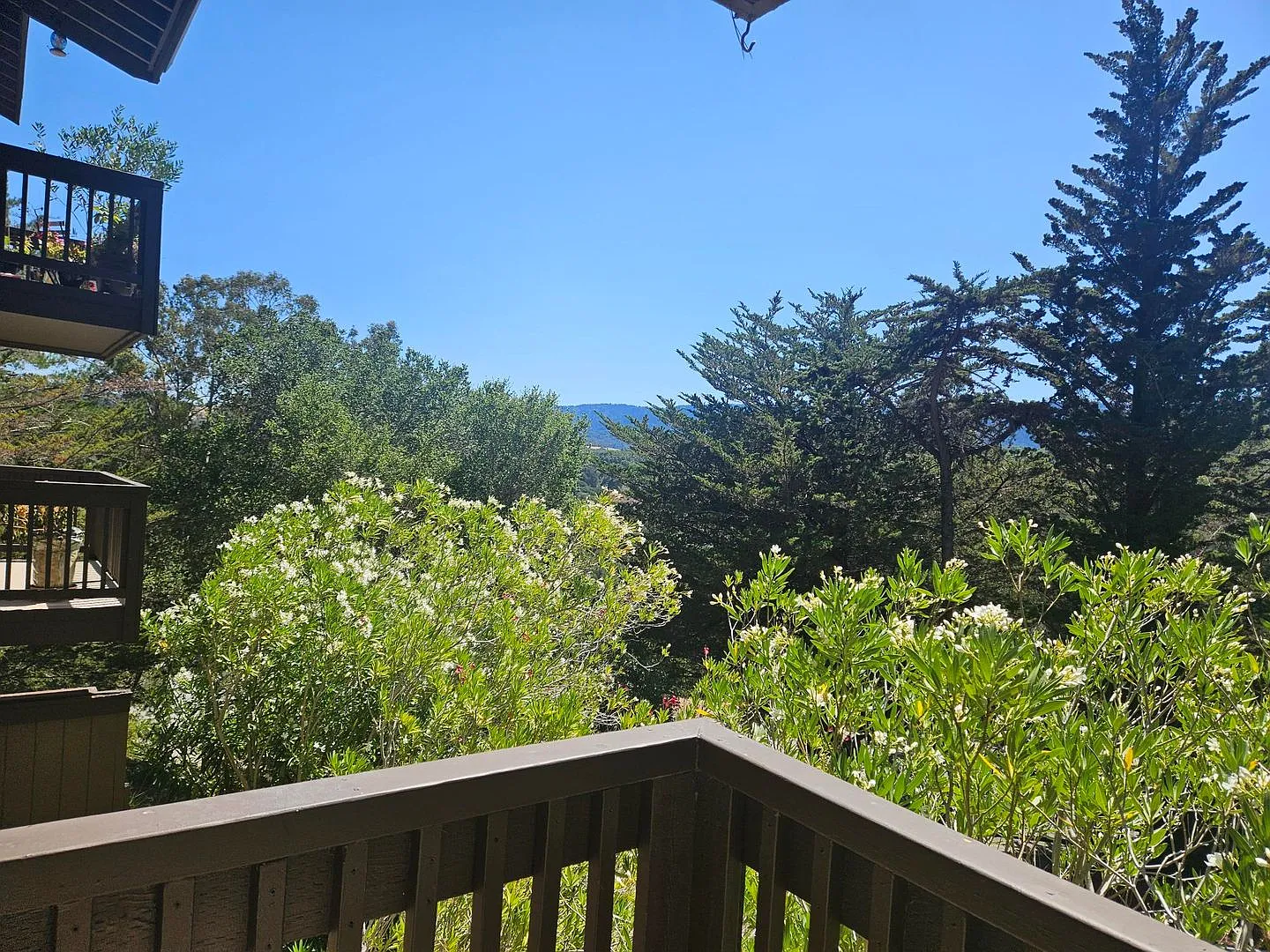 Rarely Available 2 Bedroom 2 Bathroom Brittan Heights Condo — Photo 3