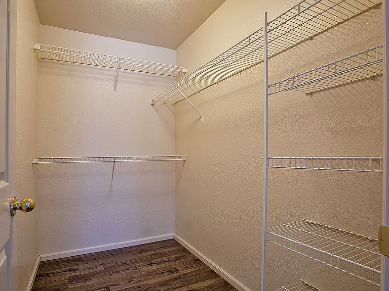 Walk-in closet in master