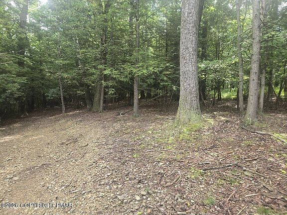 2nd image of Turkey Ridge Dr #18