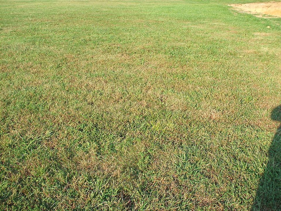 1st image of 2106 Leslee Way