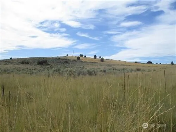 0 Road 20 NW or Peach Rd, Mansfield, WA 98843