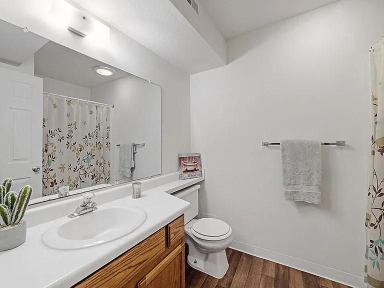 Bathroom With Large Mirror