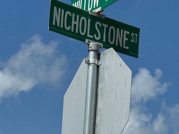 3rd image of 0 Nicholstone St