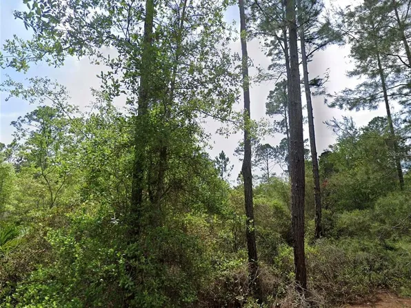 126 and 128 GRANDALE STREET LOT 163, GEORGETOWN, FL 32139