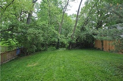 Peaceful, private back yard