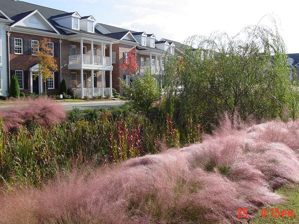 Historic Charleston Styling/
View of Rain Garden from front windows