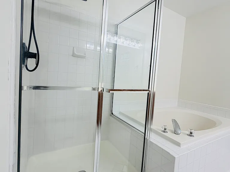 Walk in shower and jacuzzi