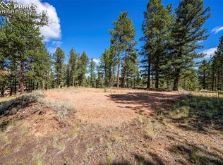 210 Donzi Trl, Florissant, CO 80816