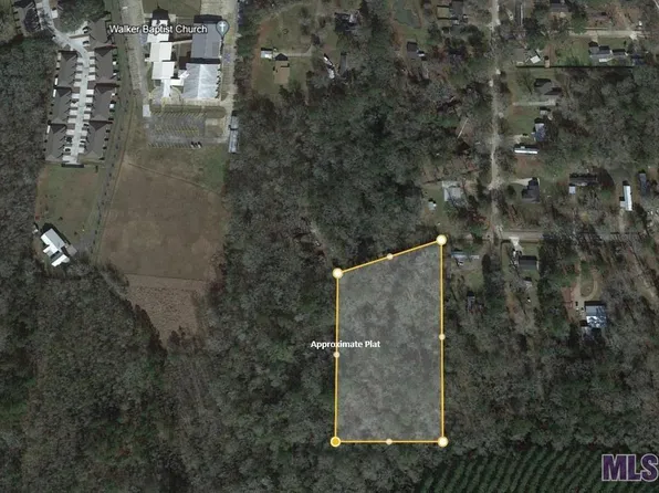 14621 Clarence St, Walker, LA 70785