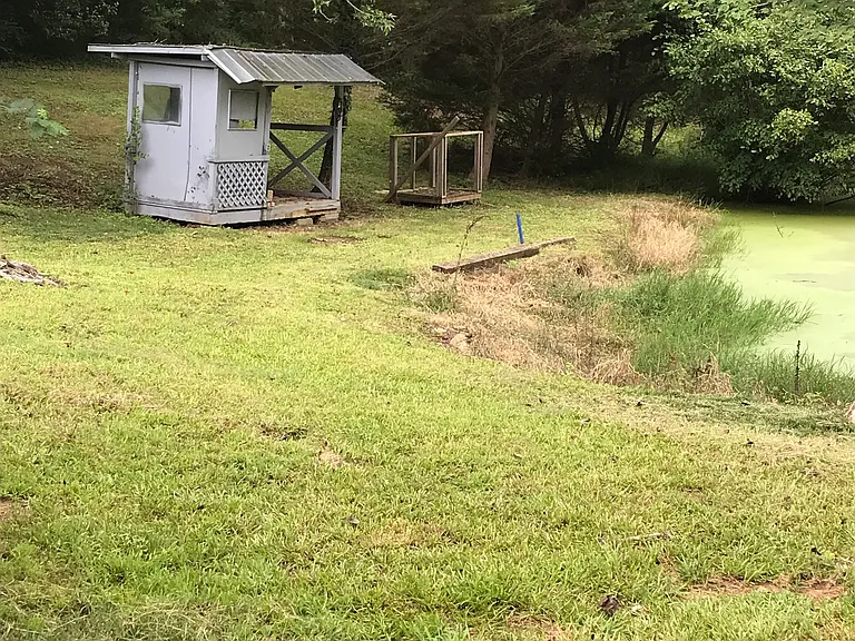 Fish Shed
