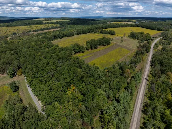 8015 Peacock Rd, Bath, NY 14810