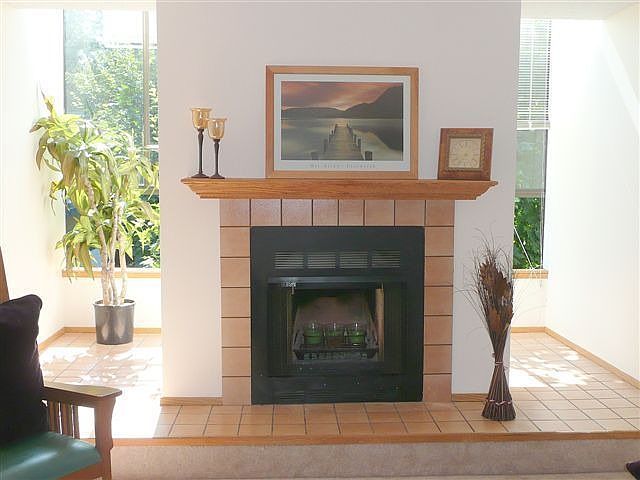 Wood burning fireplace in front of solarium windows