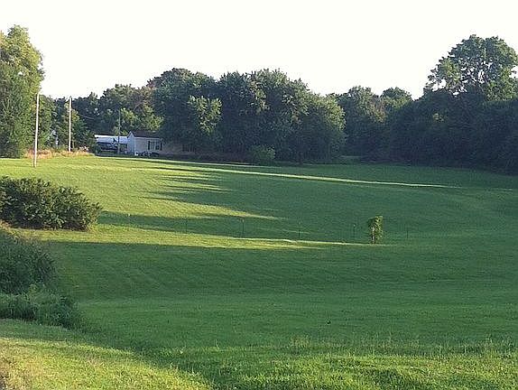 front yard looking at house