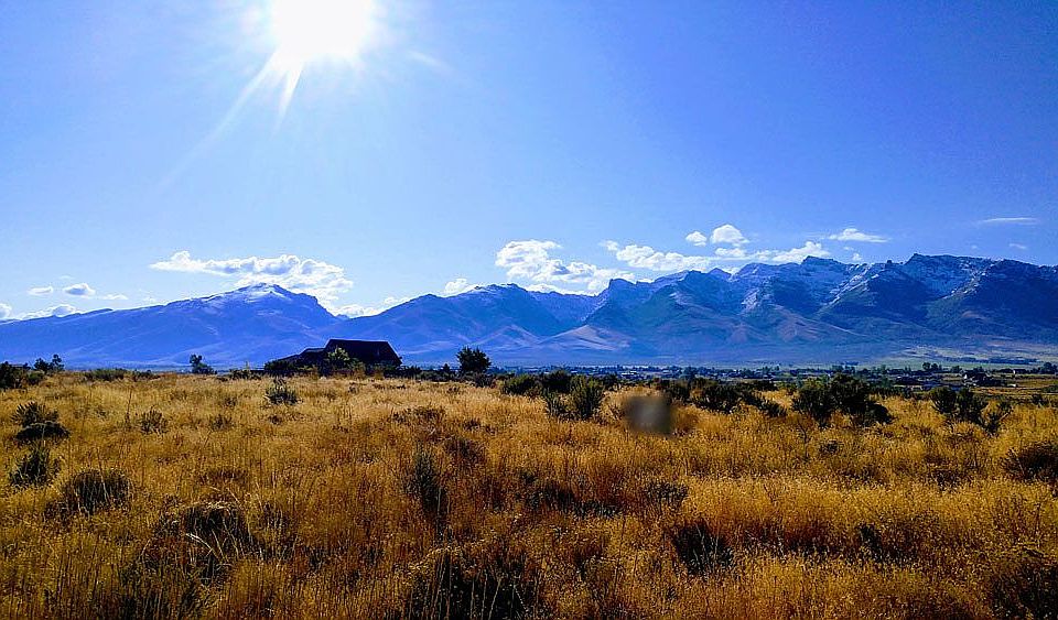Land view.