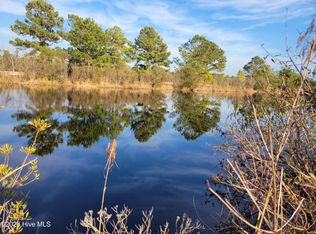 Lot 428 Bay Tree Drive, Harrells, NC 28444