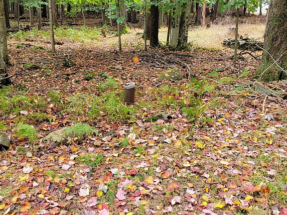 5th image of 17 Iroquois Path #19
