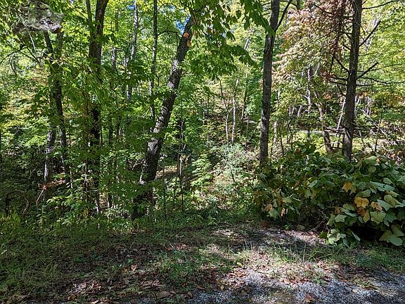 5th image of Brooke Hollow Ln