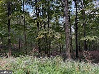 5th image of Cubby Hole Ln Lot 25