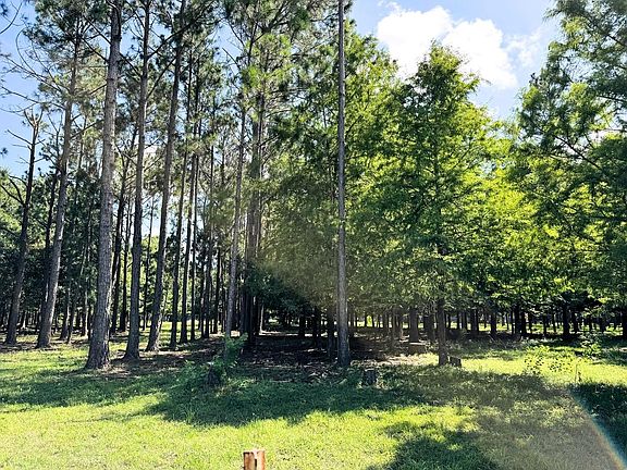 3rd image of 0 County Road 540