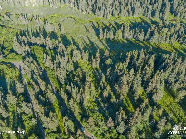 68650 Homestead Rd, Ninilchik, AK 99639