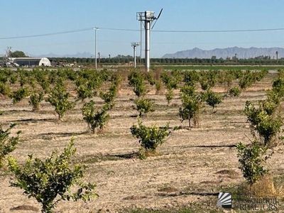 1 S Avenue 1 E, Yuma, AZ, 85365