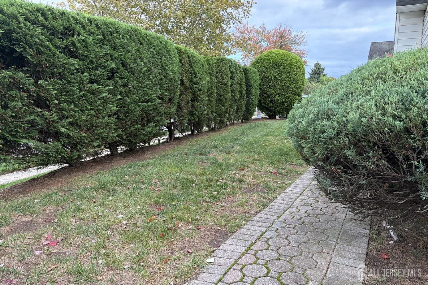 3 bed, 2.0 bath, $2,500 — Photo 2
